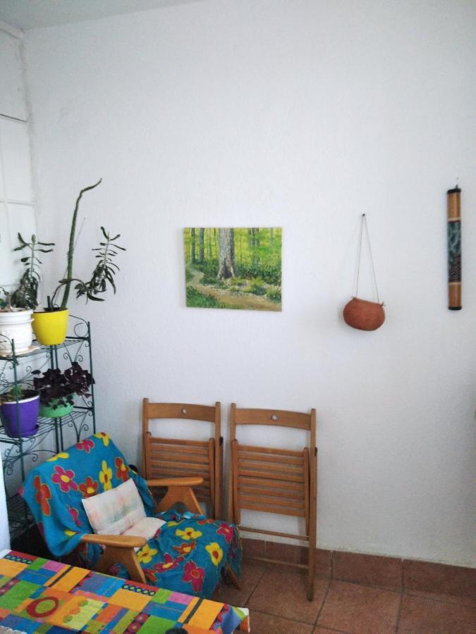 Viva Apartment Szkopje Kültér fotó