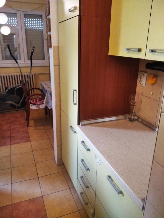 Viva Apartment Szkopje Kültér fotó