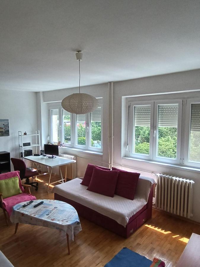 Viva Apartment Szkopje Kültér fotó